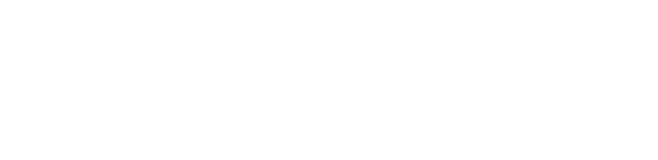 Skilled Care Journal